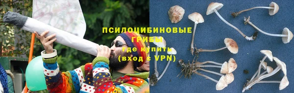 ALPHA PVP Алексеевка