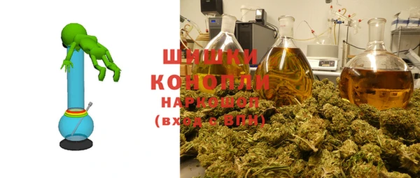 прущие грибы Алексин