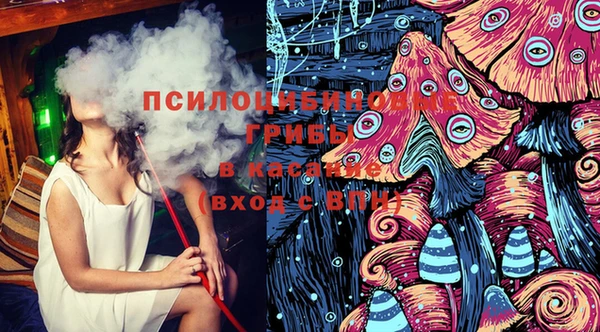 прущие грибы Алексин