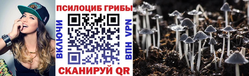 даркнет сайт  Лахденпохья  Галлюциногенные грибы Psilocybine cubensis 